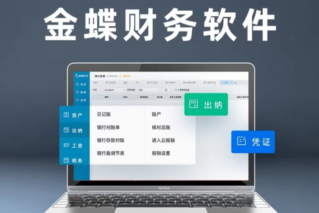数字时代的财务智囊：广州金蝶财务软件公司的独特魅力